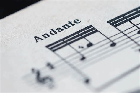 andante music meaning: The Symphony of Life